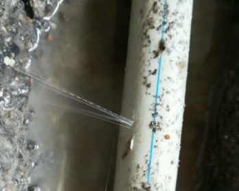 壤塘卫生间测漏水多少钱